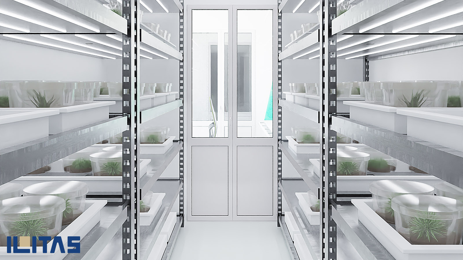 Vertical farming installatie met plantenrekken in cleanroom